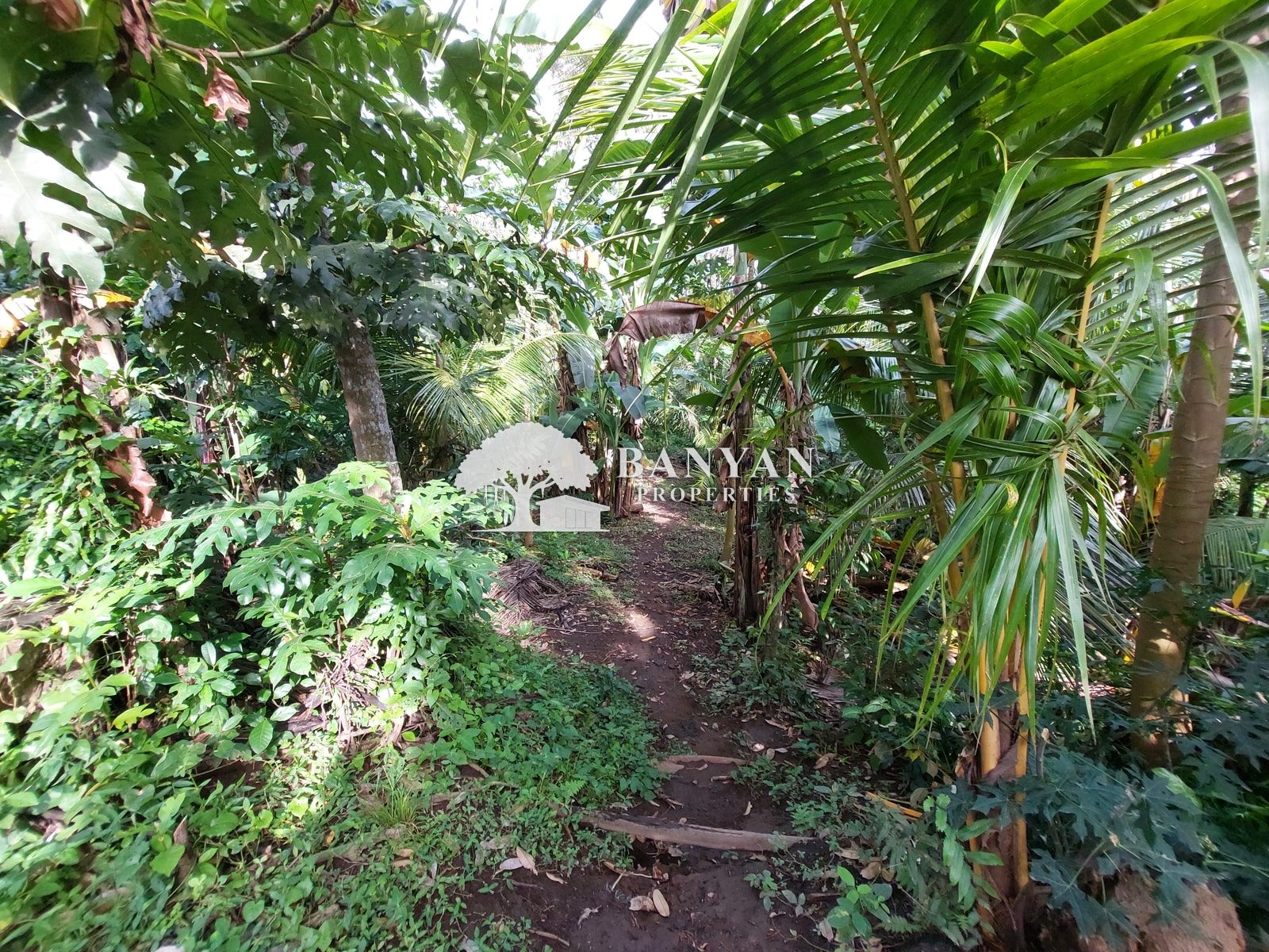 15 are Singakerta Warung Tipat - Flexible 15 Are Land for Leasehold in Singakerta — photo 2 of 5