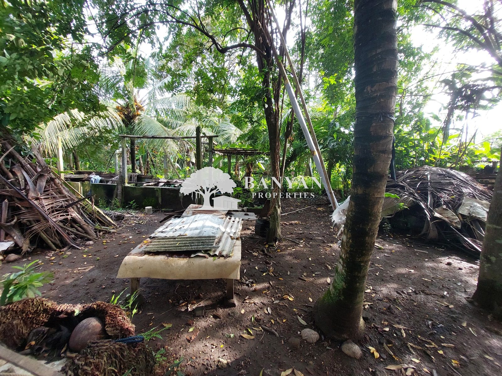 15 are Singakerta Warung Tipat - Flexible 15 Are Land for Leasehold in Singakerta — photo 3 of 5