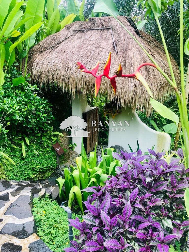 Sunrise Ravine Villa — photo 17 of 17