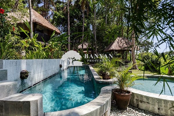 Jasmine Eco Villa — photo 3 of 14