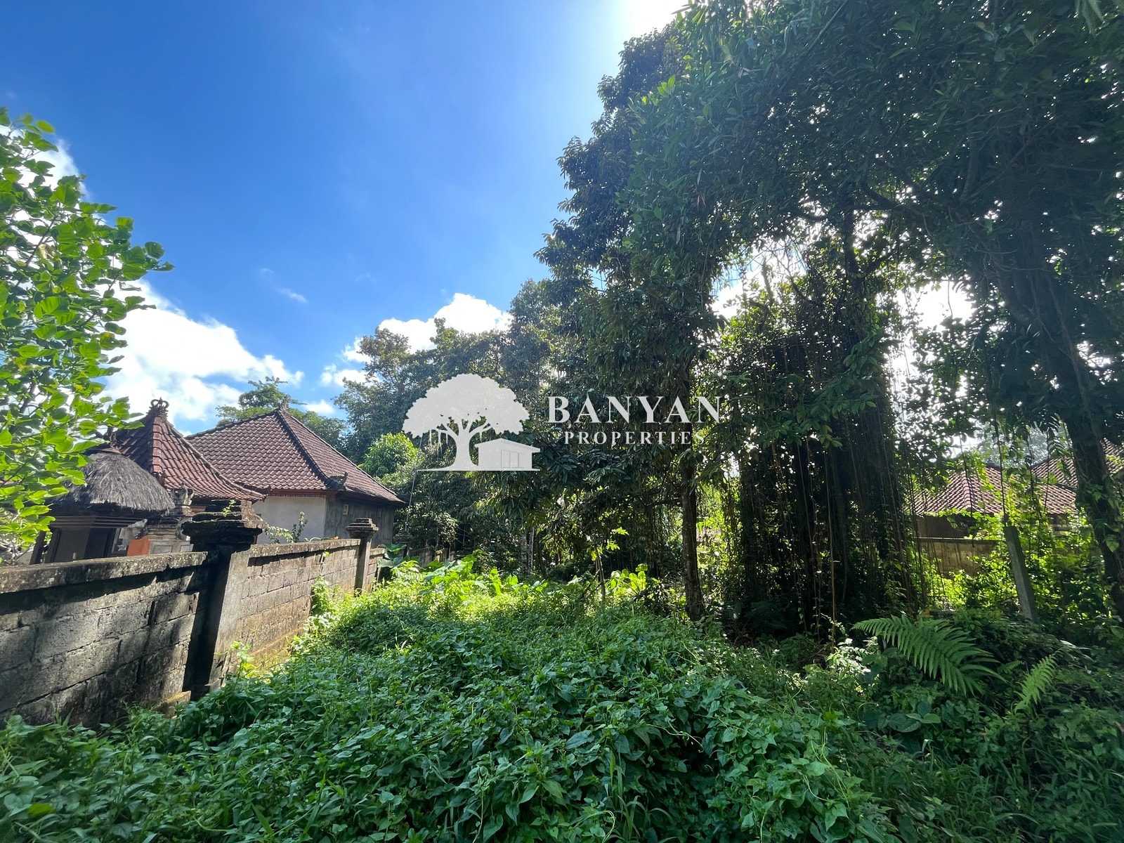 6 are Sayan (back of water temple / Turner land) - 6 are in Sayan located near a Water Temple