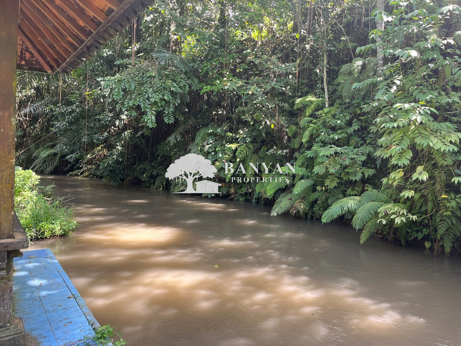 6 are Sayan (back of water temple / Turner land) - 6 are in Sayan located near a Water Temple — photo 2 of 5