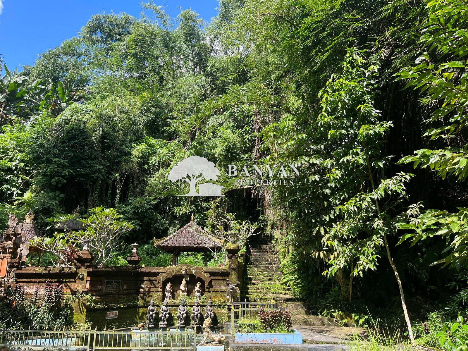 6 are Sayan (back of water temple / Turner land) - 6 are in Sayan located near a Water Temple — photo 3 of 5