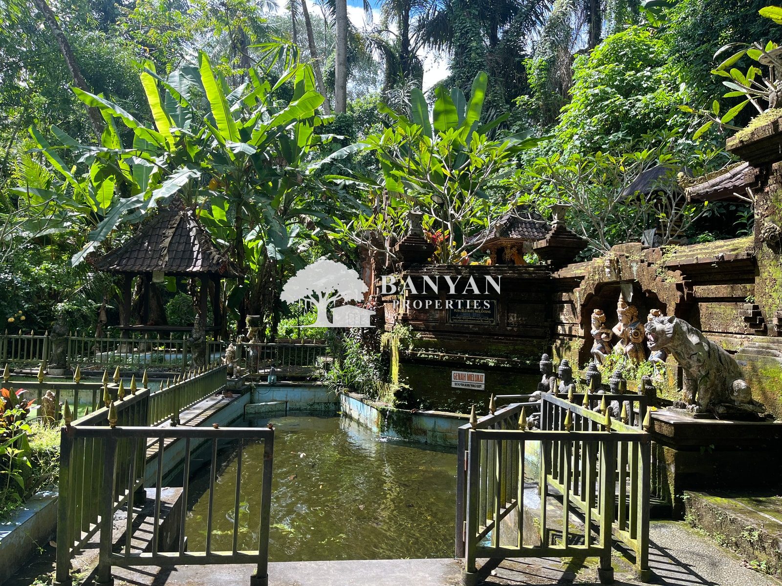 6 are Sayan (back of water temple / Turner land) - 6 are in Sayan located near a Water Temple — photo 4 of 5