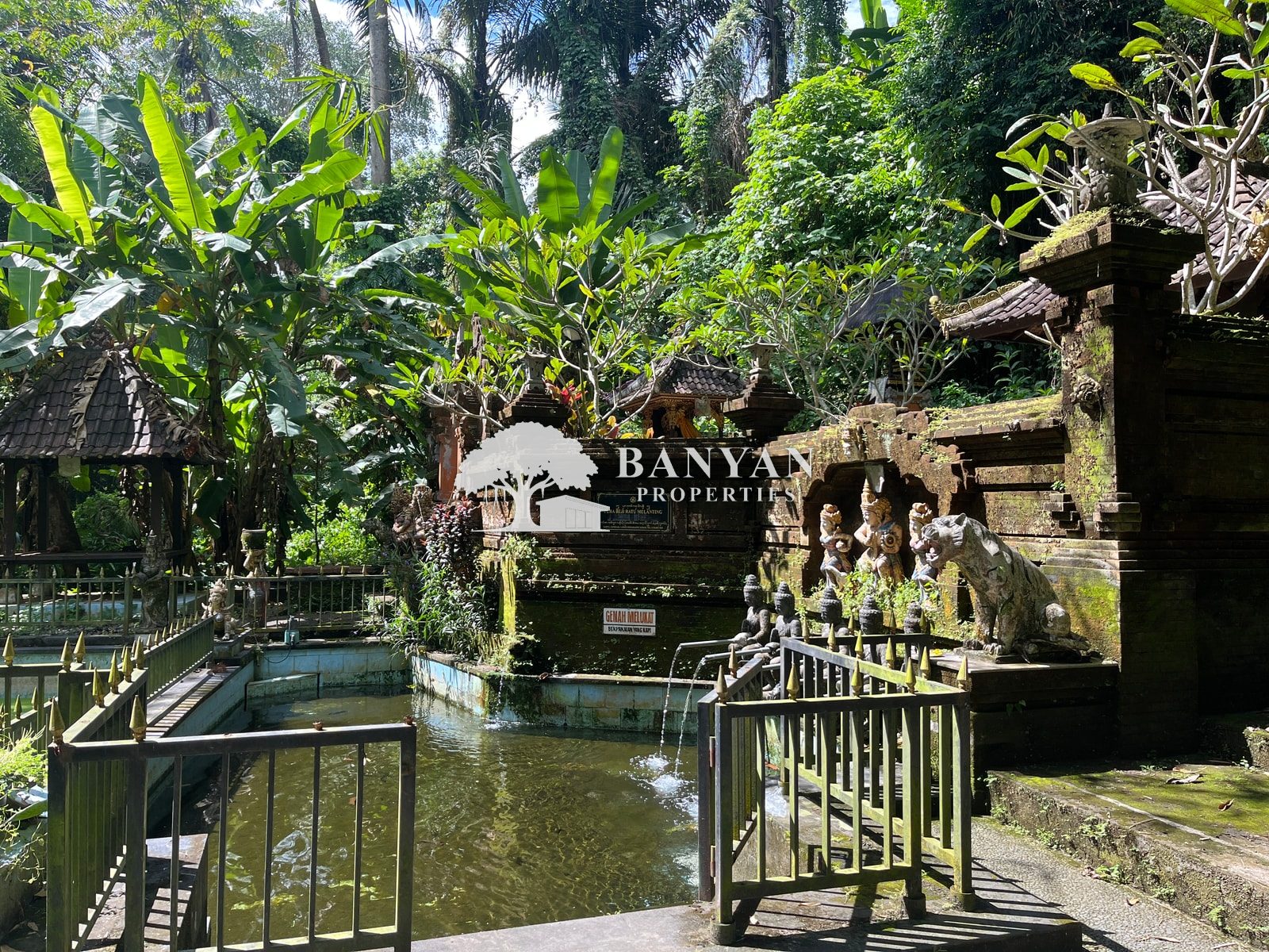 6 are Sayan (back of water temple / Turner land) - 6 are in Sayan located near a Water Temple — photo 5 of 5