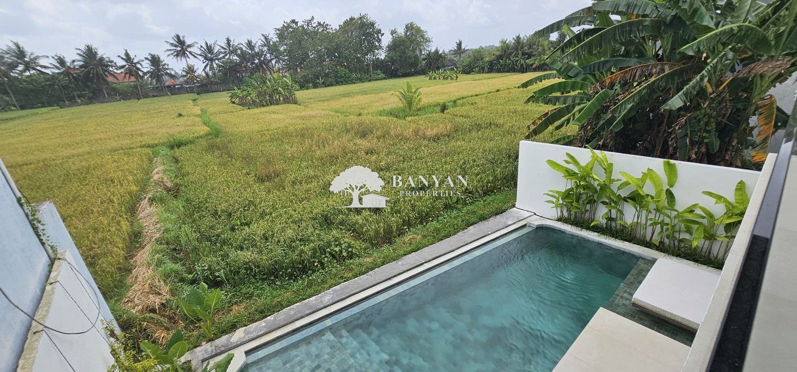 Villa Raptor - New 3 Bedroom Minimalist Luxury Villa in Singakerta — photo 23 of 37