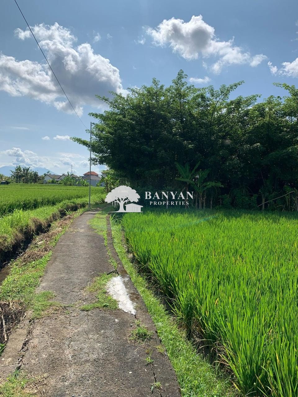 24.5 Are Pink Zone Land in Sayan — photo 6 of 7