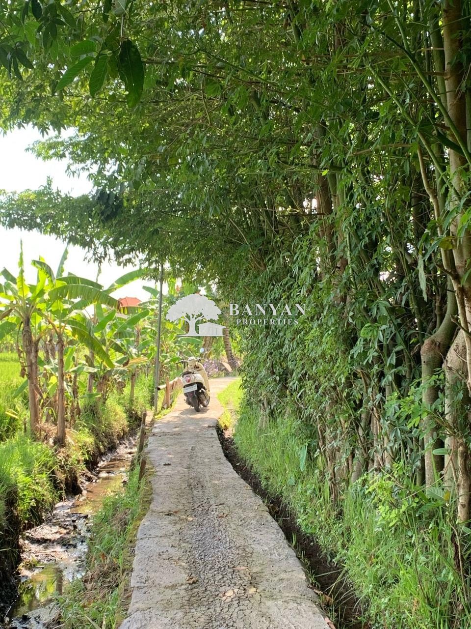 24.5 Are Pink Zone Land in Sayan — photo 7 of 7