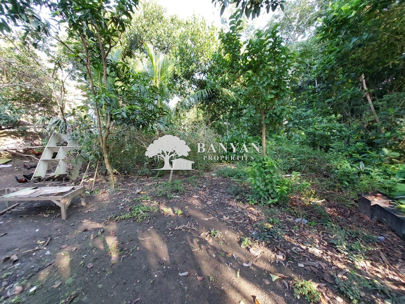 18 are Nyuh Kuning - Prime Location Land Opportunity in Nyuh Kuning, Ubud
