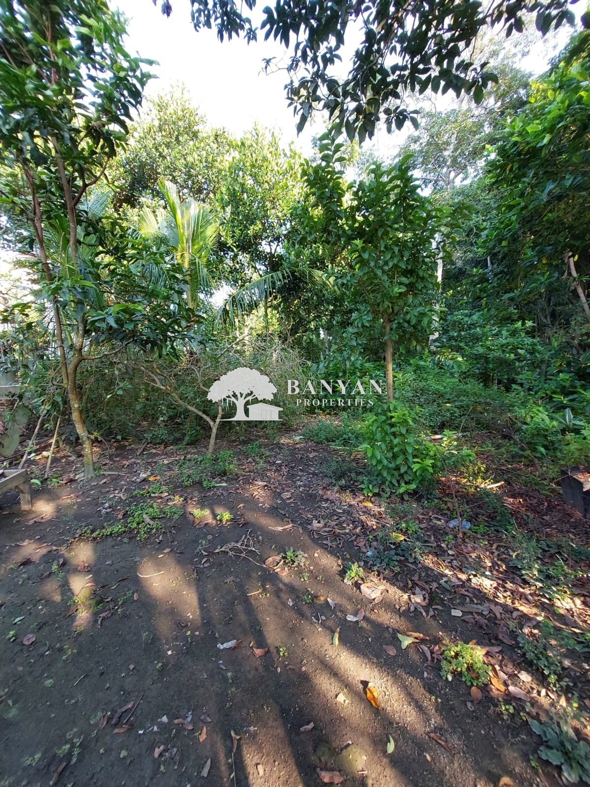 18 are Nyuh Kuning - Prime Location Land Opportunity in Nyuh Kuning, Ubud — photo 2 of 2
