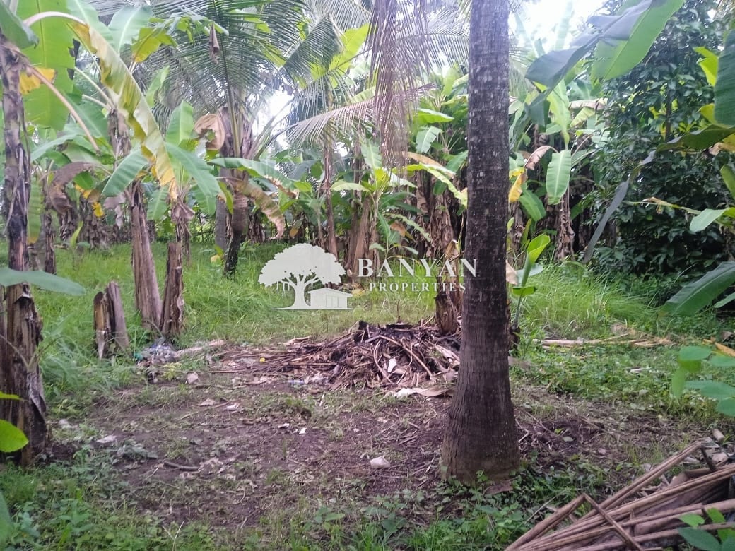 3-6 Are Tropical Land in Lodtunduh - 3-6 Are Tropical Leasehold Land in Lodtunduh – Jungle Vibes, Rice Field Views & Central Location