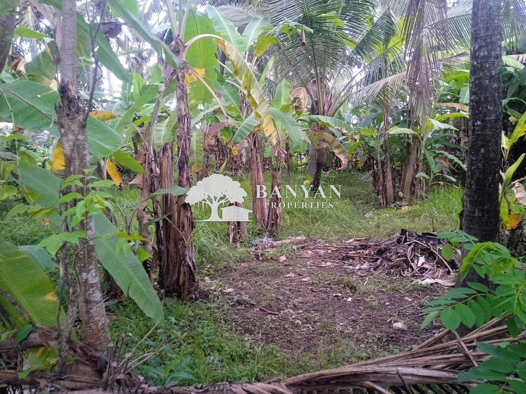 3-6 Are Tropical Land in Lodtunduh - 3-6 Are Tropical Leasehold Land in Lodtunduh – Jungle Vibes, Rice Field Views & Central Location — photo 2 of 3