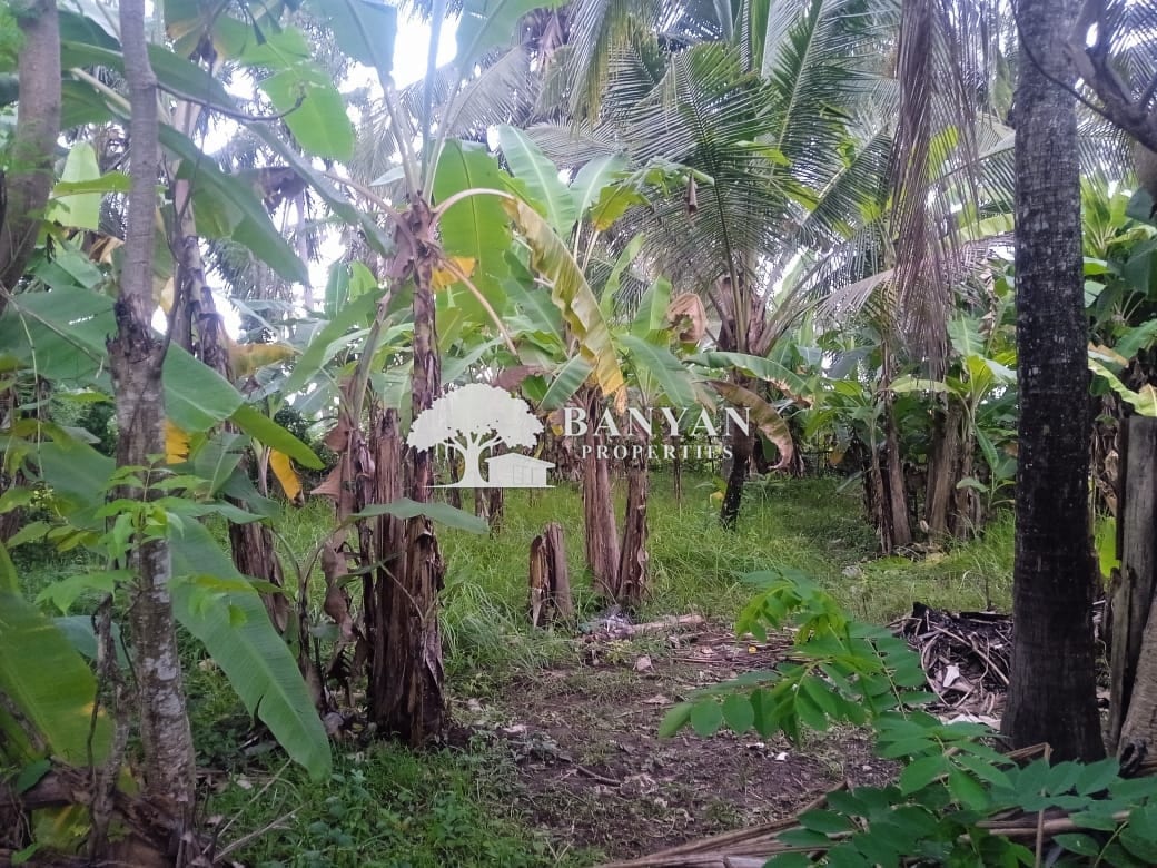 3-6 Are Tropical Land in Lodtunduh - 3-6 Are Tropical Leasehold Land in Lodtunduh – Jungle Vibes, Rice Field Views & Central Location — photo 3 of 3