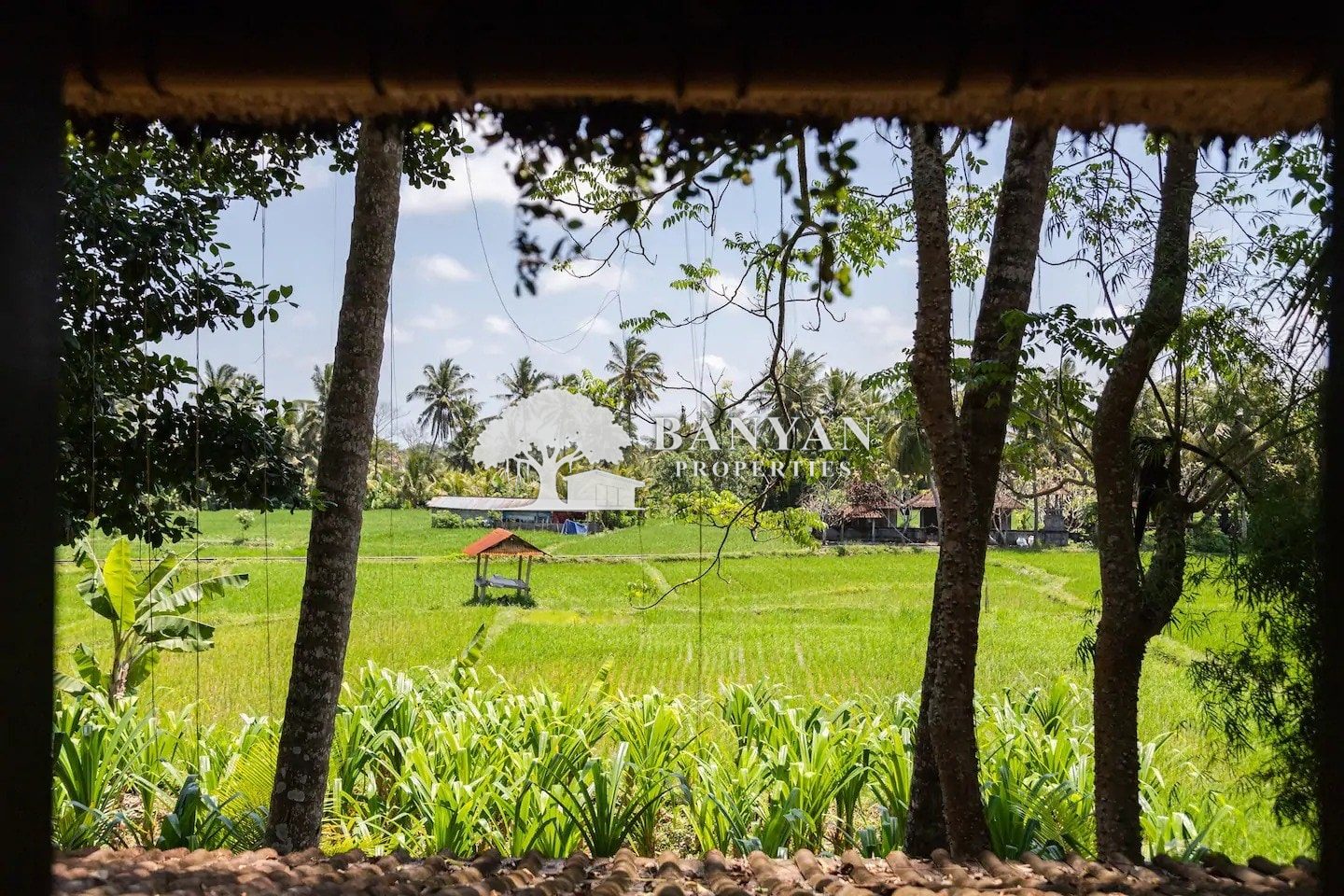 Damai Eco Villa — photo 17 of 18