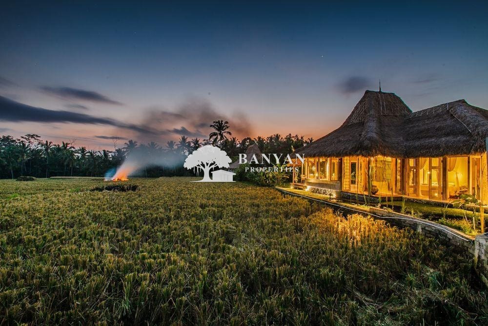 Charming Joglo House with Direct Rice Field Views and Lush Private Garden in Ubud, Bali — photo 2 of 11