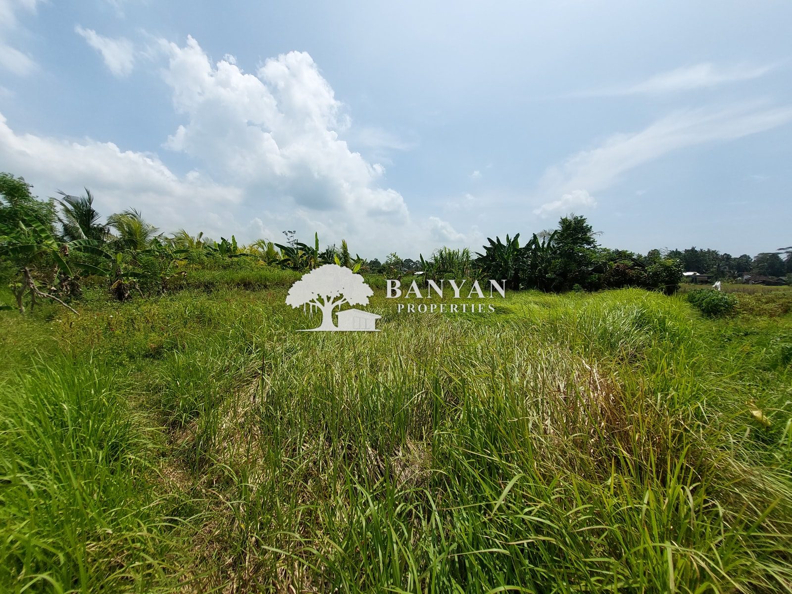 3.30 are Singakerta Cahaya/Ayu - 330m² Prime Tourism-Zoned Land in Serene Singakerta