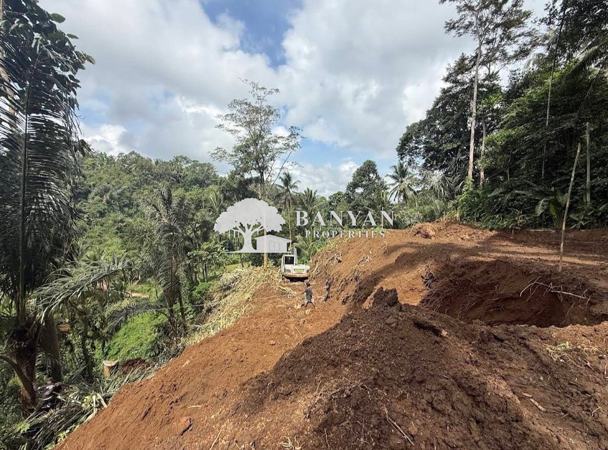 Haridas Land - Leasehold Land with 2 Buildings at 40% Completion — Kedisan, Tegallalang, Bali — photo 10 of 10