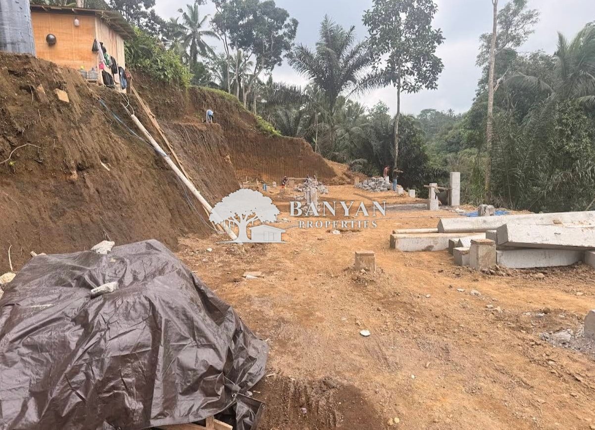 Haridas Land - Leasehold Land with 2 Buildings at 40% Completion — Kedisan, Tegallalang, Bali — photo 7 of 10