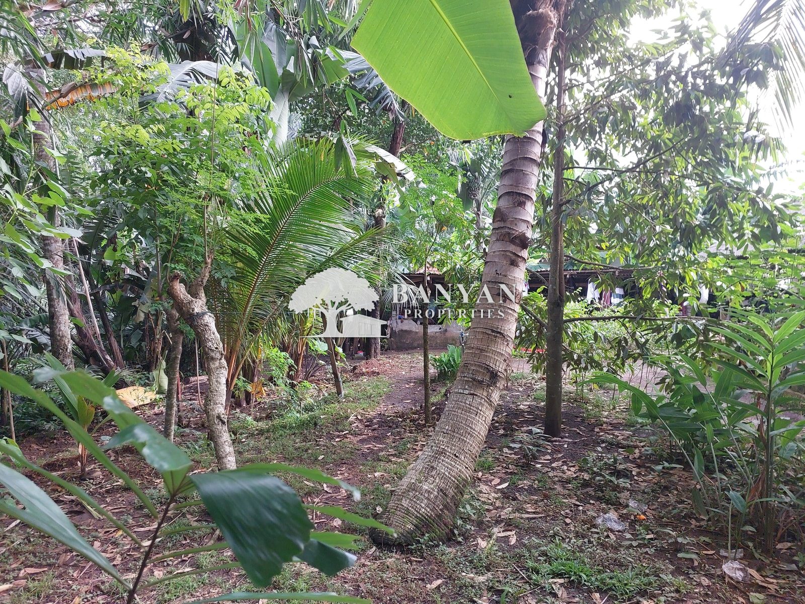 7 are Singakerta Warung Sate - 7 are Singakerta Along a Small River — photo 2 of 2