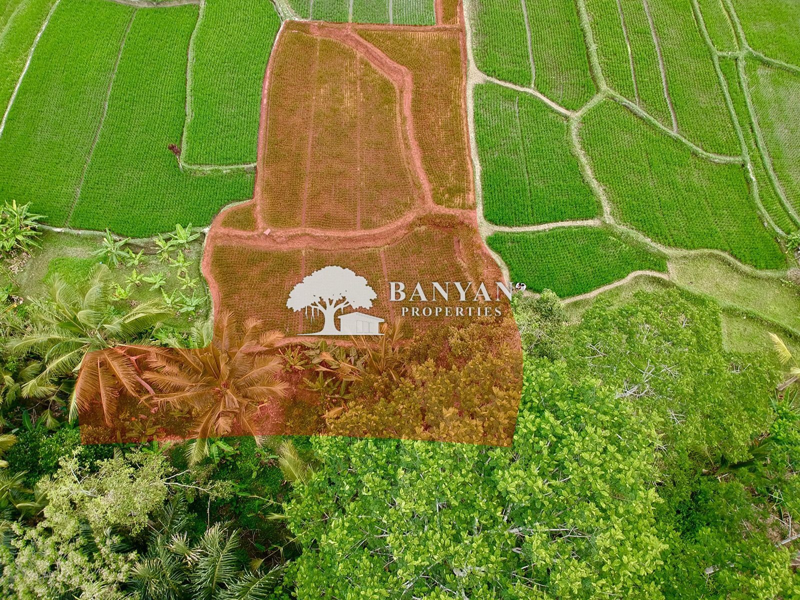 16 Are Freehold Sebatu - 16are Sebatu Freehold Land For Sale