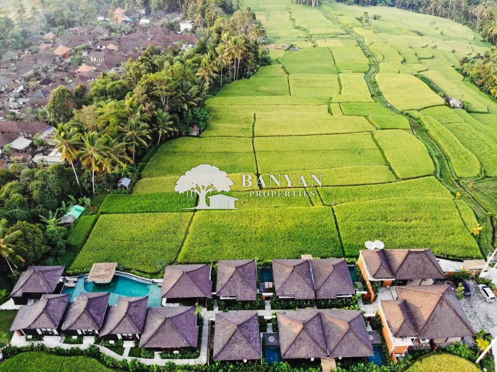 12-Villa Leasehold Estate For Sale with Restaurant, Main Pool & Scenic Rice Field Views — photo 4 of 12